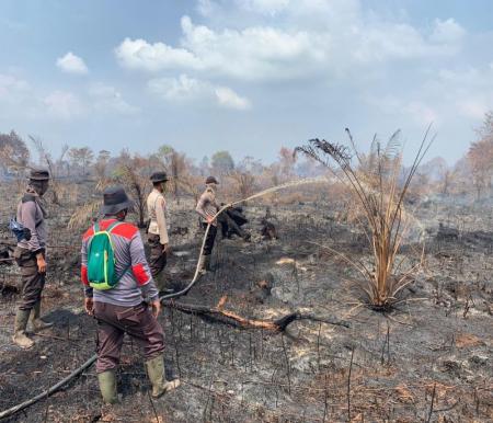 Petugas memadamkan api yang hanguskan lahan di Rokan Hilir, Riau (foto/int)